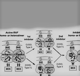 Systems Biology Ireland